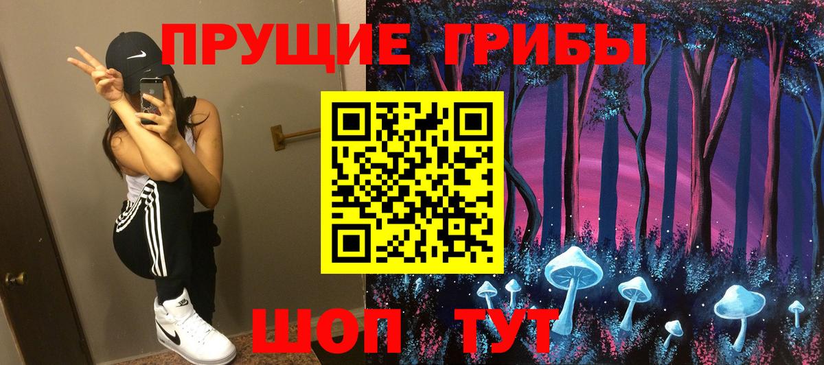 что такое   Вход с VPN  Арсеньев  Псилоцибиновые грибы GOLDEN TEACHER  Галлюциногенные грибы прущие грибы 