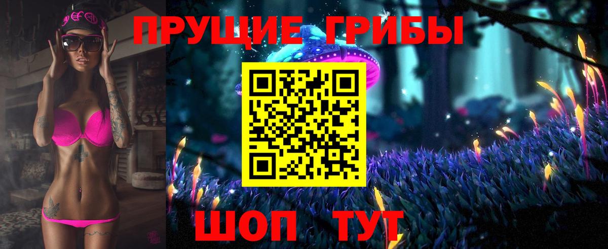 Псилоцибиновые грибы Cubensis Арсеньев